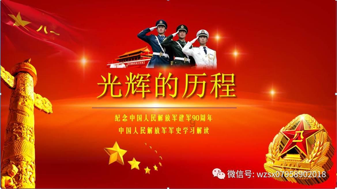 寻找萌小老虎