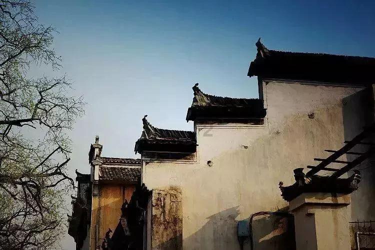 细胞分裂6